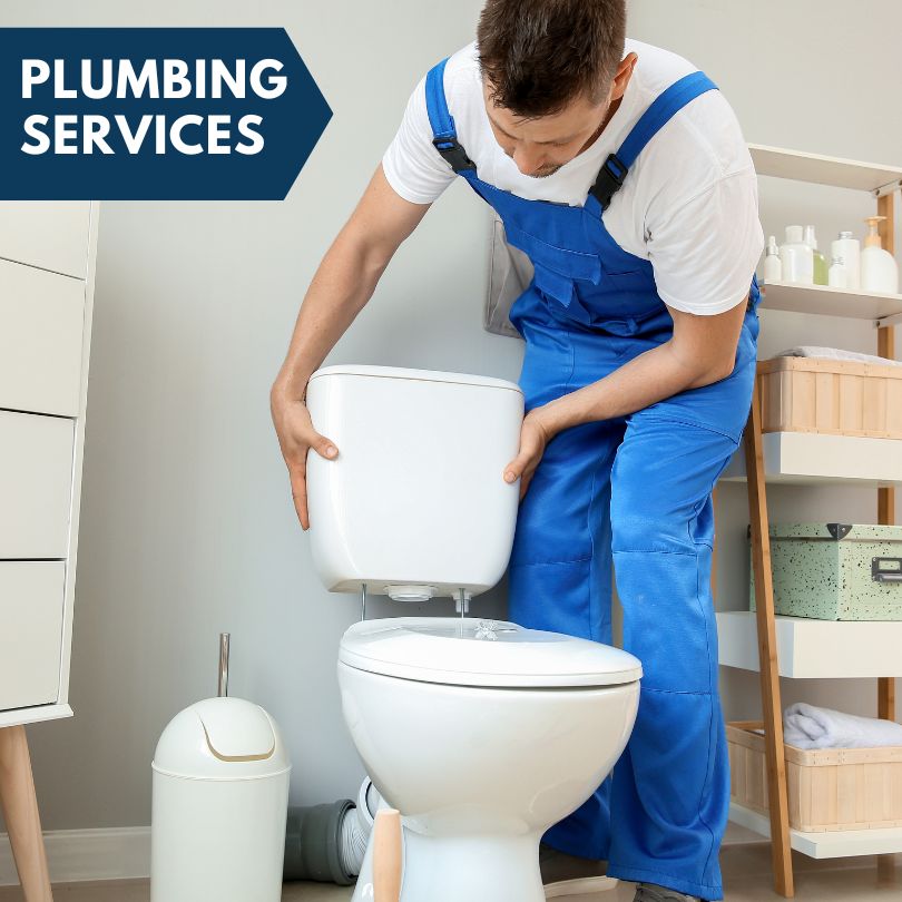 Plumbing Company in Peck, MI
